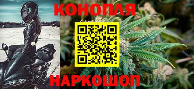 Альфа ПВП Лесосибирск